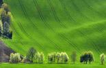 BUREAU VERITAS GHG EMISSIONS TARGETS APPROVED BY THE SBTI