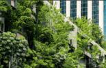 Bureau Veritas Effort against Climate Change