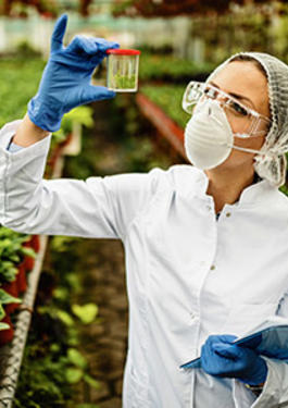 INSPECTION OF AGRI FOOD & COMMODITIES