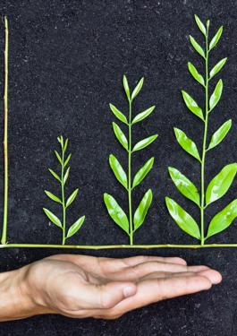 Social, Ethics & Governance